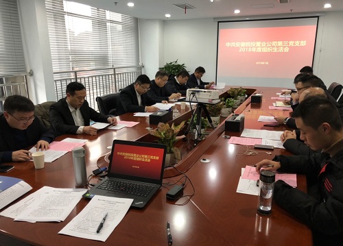 公司第三黨支部召開2018年度組織生活會(huì)