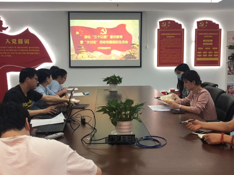 公司第一黨支部召開(kāi)深化“三個(gè)以案”警示教育暨“大討論”活動(dòng)專(zhuān)題組織生活會(huì)