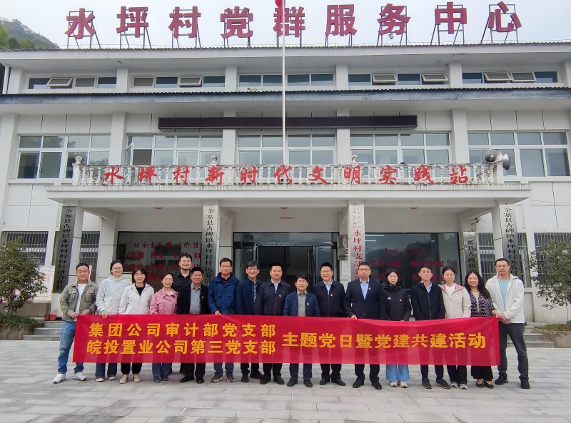 皖投置業(yè)公司與集團(tuán)公司審計(jì)部赴金寨開展支部共建并舉行捐贈(zèng)儀式